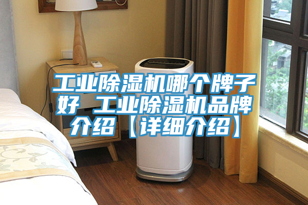 工业91免费网站在线观看哪个牌子好 工业91免费网站在线观看品牌介绍【详细介绍】