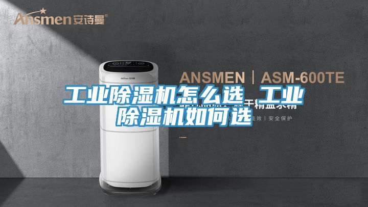 工业91免费网站在线观看怎么选 工业91免费网站在线观看如何选