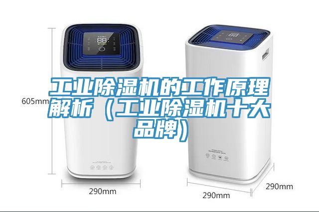 工业91免费网站在线观看的工作原理解析（工业91免费网站在线观看十大品牌）