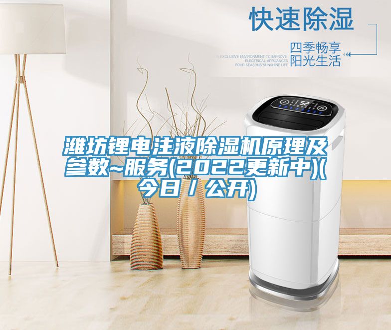潍坊锂电注液91免费网站在线观看原理及参数~服务(2022更新中)(今日／公开)