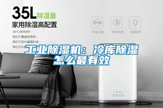 工业91免费网站在线观看：冷库除湿怎么最有效