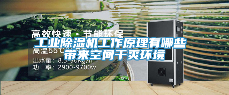 工业91免费网站在线观看工作原理有哪些 带来空间干爽环境