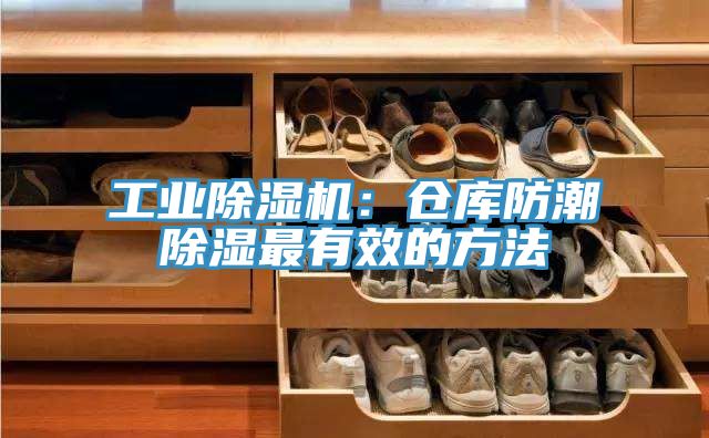 工业91免费网站在线观看：仓库防潮除湿最有效的方法