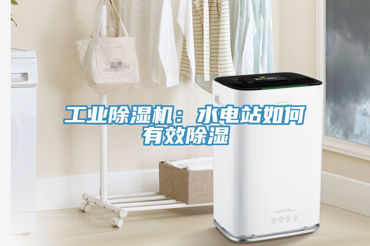工业91免费网站在线观看：水电站如何有效除湿