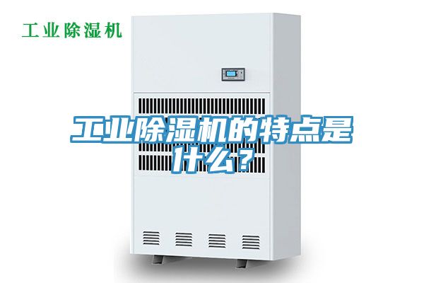 工业91免费网站在线观看的特点是什么？