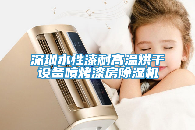 深圳水性漆耐高温烘干设备喷烤漆房91免费网站在线观看