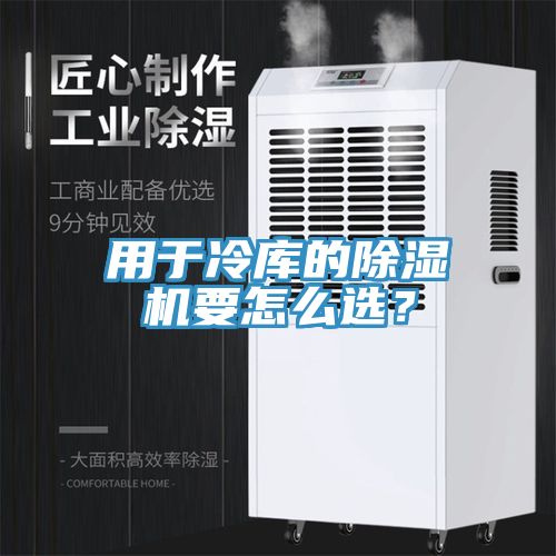 用于冷库的91免费网站在线观看要怎么选？