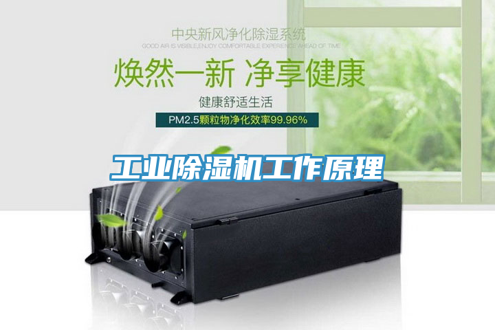 工业91免费网站在线观看工作原理