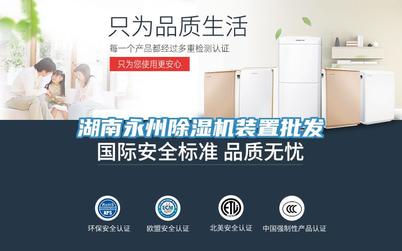 湖南永州91免费网站在线观看装置批发
