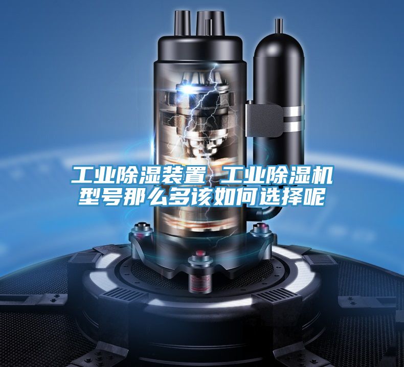工业除湿装置 工业91免费网站在线观看型号那么多该如何选择呢