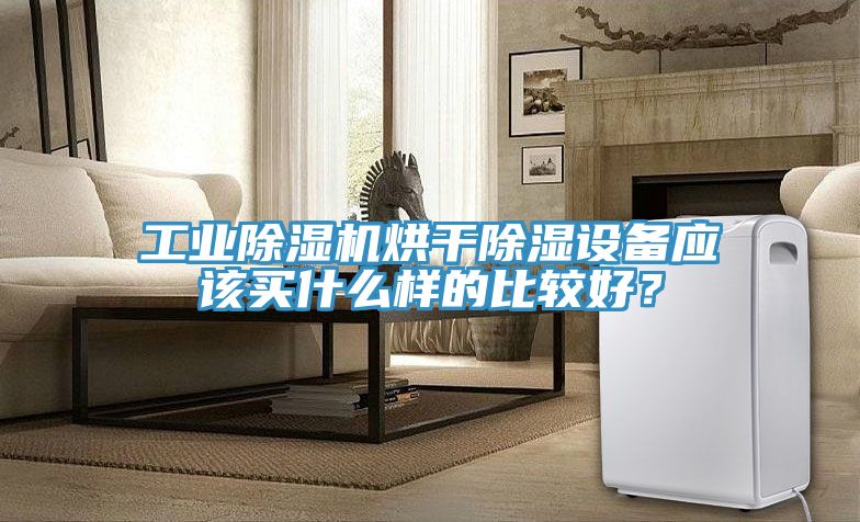 工业91免费网站在线观看烘干除湿设备应该买什么样的比较好？