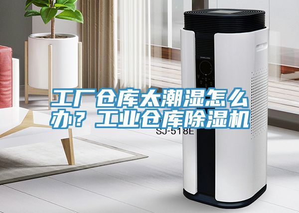 工厂仓库太潮湿怎么办？工业仓库91免费网站在线观看
