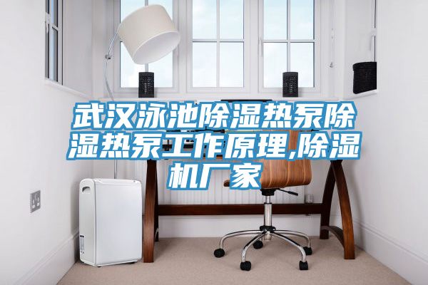 武汉泳池除湿热泵除湿热泵工作原理,91免费网站在线观看厂家