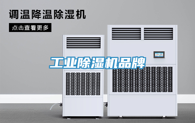工业91免费网站在线观看品牌