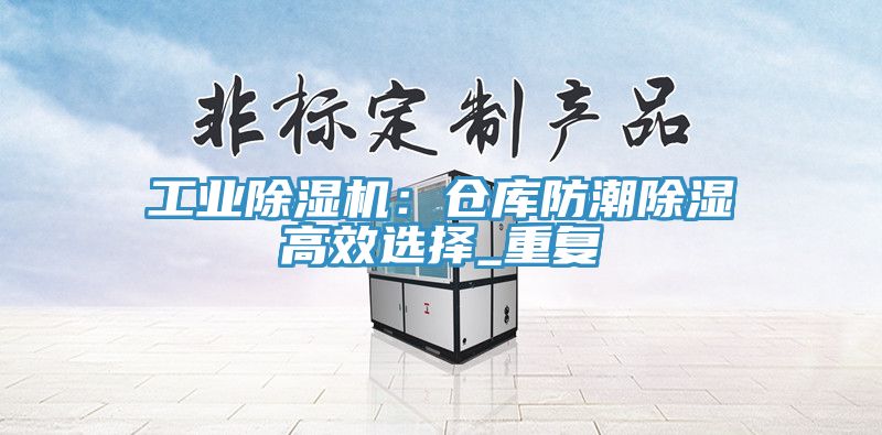 工业91免费网站在线观看：仓库防潮除湿高效选择_重复