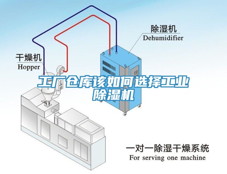 工厂仓库该如何选择工业91免费网站在线观看