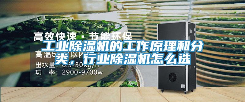 工业91免费网站在线观看的工作原理和分类，行业91免费网站在线观看怎么选