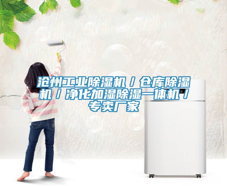 沧州工业91免费网站在线观看／仓库91免费网站在线观看／净化加湿除湿一体机／专卖厂家