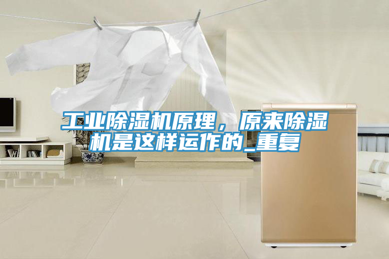 工业91免费网站在线观看原理，原来91免费网站在线观看是这样运作的_重复
