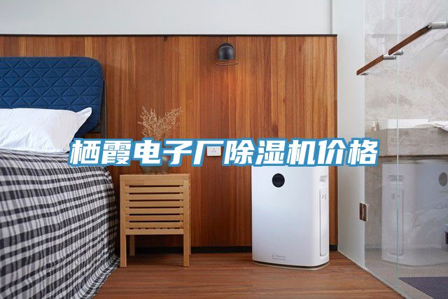 栖霞电子厂91免费网站在线观看价格