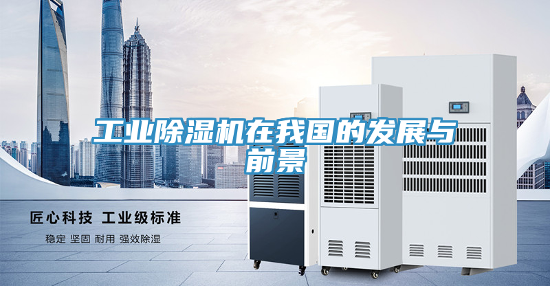 工业91免费网站在线观看在我国的发展与前景