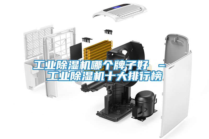 工业91免费网站在线观看哪个牌子好 – 工业91免费网站在线观看十大排行榜