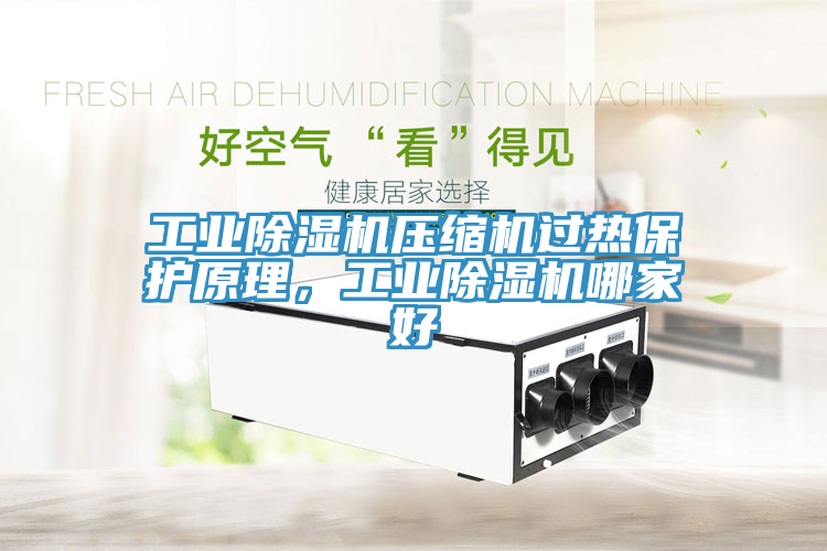 工业91免费网站在线观看压缩机过热保护原理，工业91免费网站在线观看哪家好