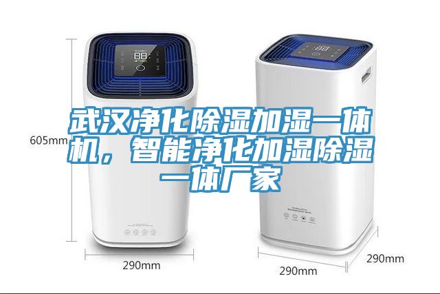 武汉净化除湿加湿一体机，智能净化加湿除湿一体厂家