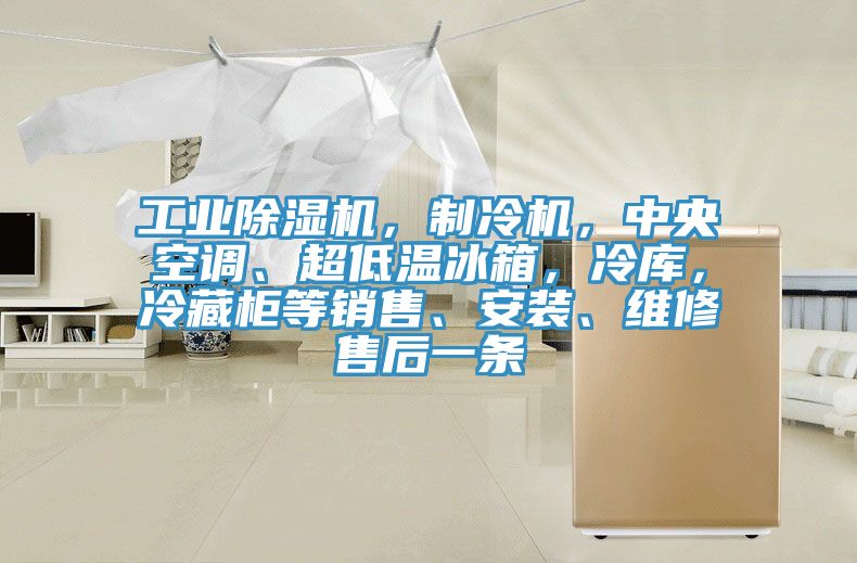 工业91免费网站在线观看，制冷机，中央空调、超低温冰箱，冷库，冷藏柜等销售、安装、维修售后一条