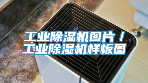 工业91免费网站在线观看图片／工业91免费网站在线观看样板图