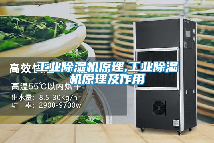 工业91免费网站在线观看原理,工业91免费网站在线观看原理及作用
