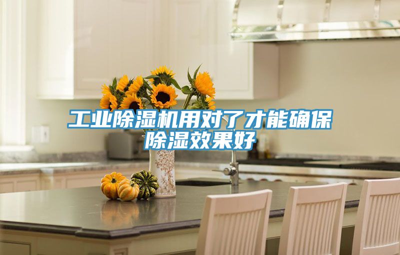 工业91免费网站在线观看用对了才能确保除湿效果好