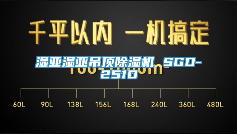 湿亚湿亚吊顶91免费网站在线观看 SGD-251D