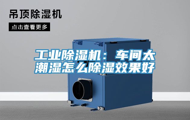工业91免费网站在线观看：车间太潮湿怎么除湿效果好