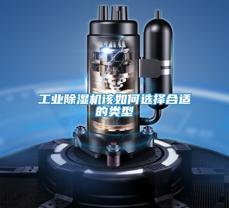 工业91免费网站在线观看该如何选择合适的类型