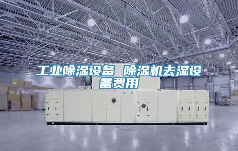 工业除湿设备 91免费网站在线观看去湿设备费用