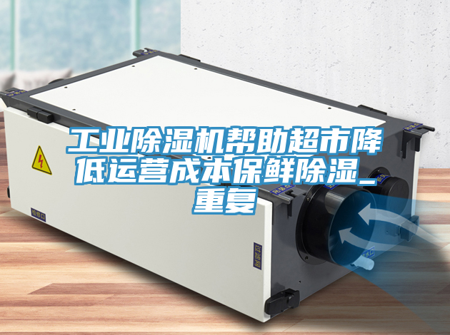 工业91免费网站在线观看帮助超市降低运营成本保鲜除湿_重复
