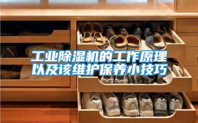 工业91免费网站在线观看的工作原理以及该维护保养小技巧