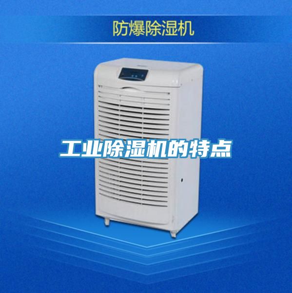工业91免费网站在线观看的特点