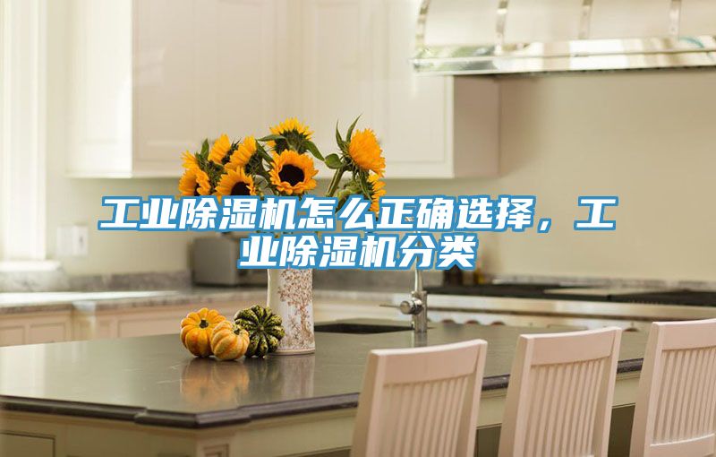 工业91免费网站在线观看怎么正确选择，工业91免费网站在线观看分类