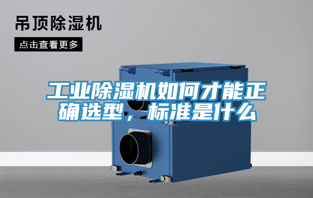 工业91免费网站在线观看如何才能正确选型，标准是什么