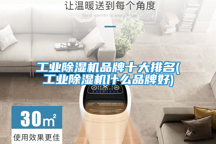 工业91免费网站在线观看品牌十大排名(工业91免费网站在线观看什么品牌好)