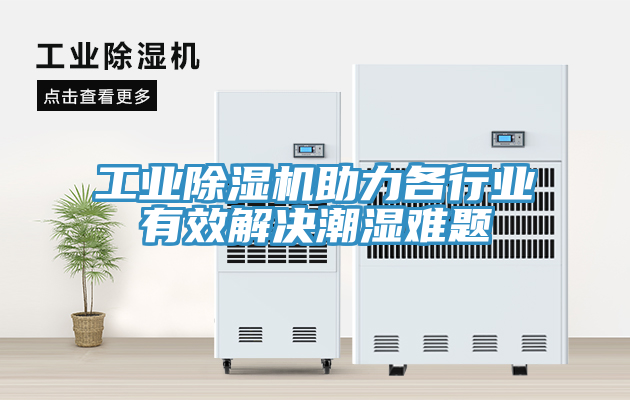 工业91免费网站在线观看助力各行业有效解决潮湿难题