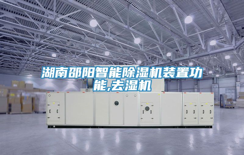 湖南邵阳智能91免费网站在线观看装置功能,去湿机
