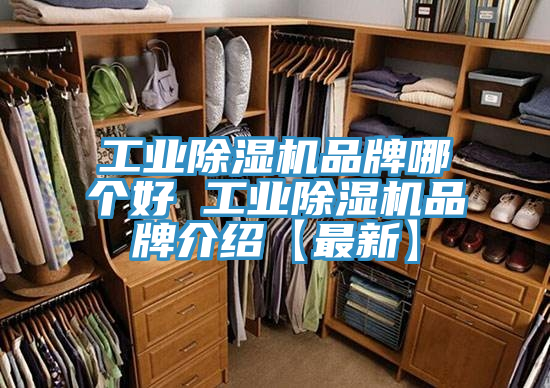 工业91免费网站在线观看品牌哪个好 工业91免费网站在线观看品牌介绍【最新】