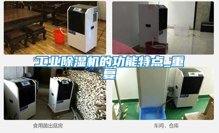 工业91免费网站在线观看的功能特点_重复