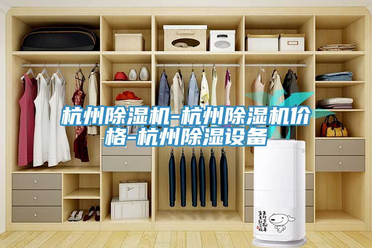 杭州91免费网站在线观看-杭州91免费网站在线观看价格-杭州除湿设备