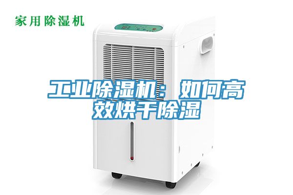 工业91免费网站在线观看：如何高效烘干除湿