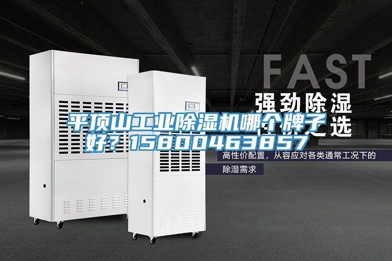 平顶山工业91免费网站在线观看哪个牌子好？15800463857