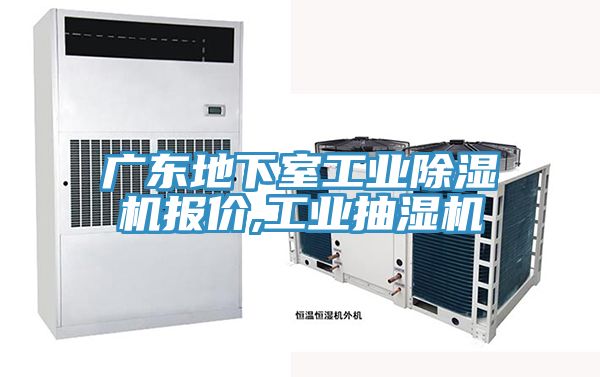 广东地下室工业91免费网站在线观看报价,工业抽湿机